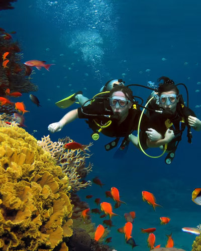 Scuba Diving